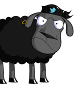 Twitter Black Sheep